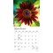 Plato; Sunflowers | 2027 7 x 14 Inch (Hanging) Monthly Mini Wall Calendar | Foil Stamped Cover; Category:Wall Calendars; Image:4